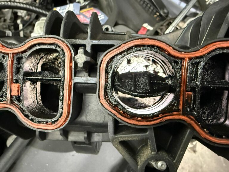 WhatsApp Image 2026-02-09 at 08.42.56asdf