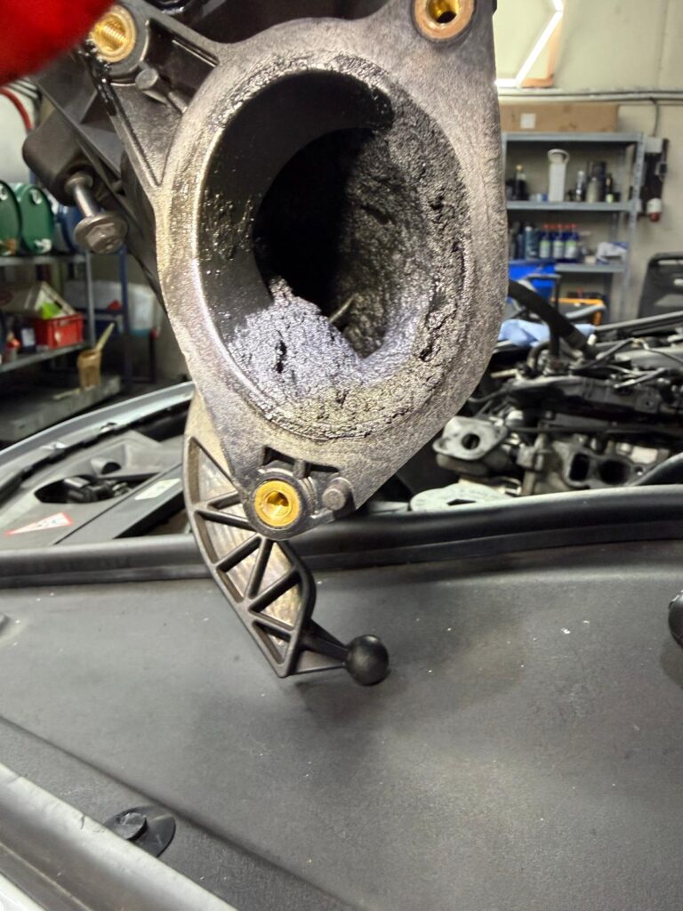 WhatsApp Image 2026-02-09 at 08.42.57adwd