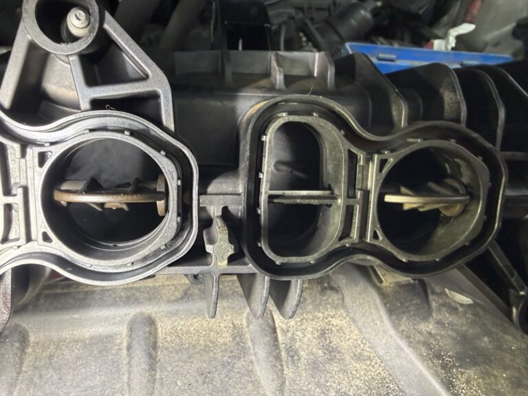 WhatsApp Image 2026-02-10 at 10.31.53d