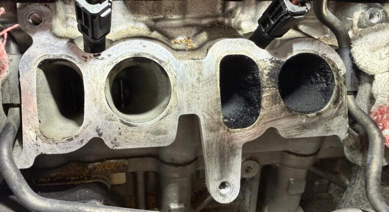 WhatsApp Image 2026-02-12 at 16.54.23